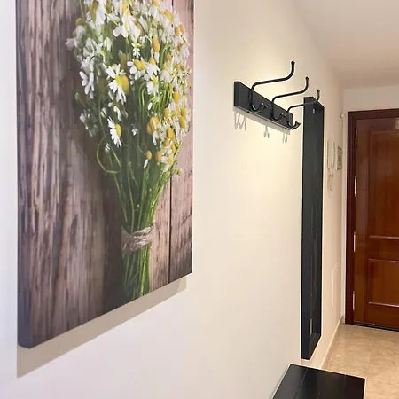 Chicflat San Roque Reformado En 2025 *